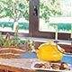 Accommodation in Italy Villa La Selva