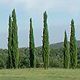 Accommodation in Italy Villa La Selva