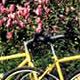Accommodation in Italy Villa La Selva
