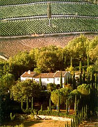 Musical Event at Fagiolari Farmhouse